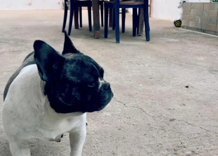 別荘 House Into A Paradise Of Kéfalos